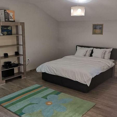 Viking Apartment Grigo Клуж-Напока Экстерьер фото