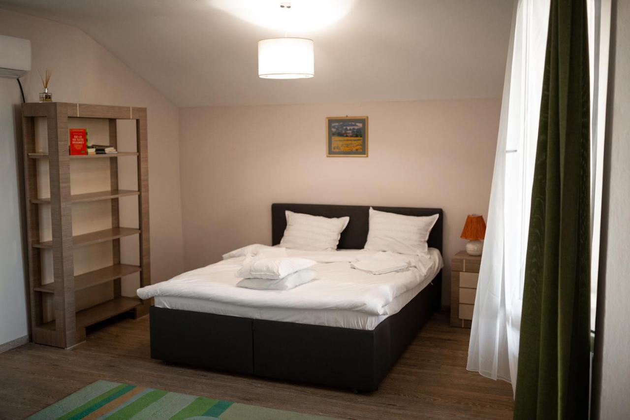 Viking Apartment Grigo Клуж-Напока Экстерьер фото
