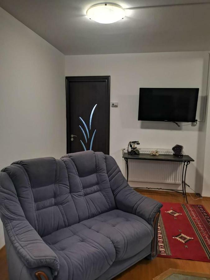 Viking Apartment Grigo Клуж-Напока Номер фото